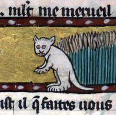 Chat medieval 1